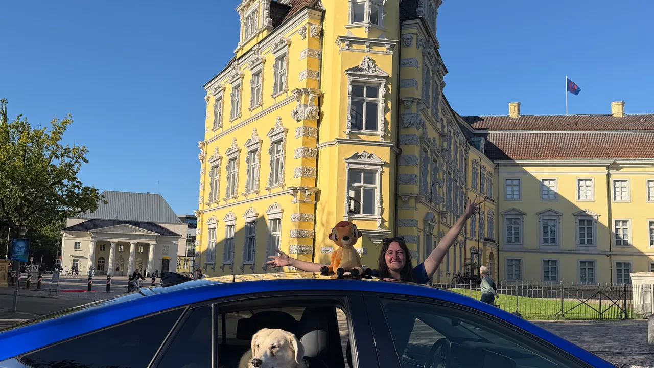 auf wieder schnitzel 